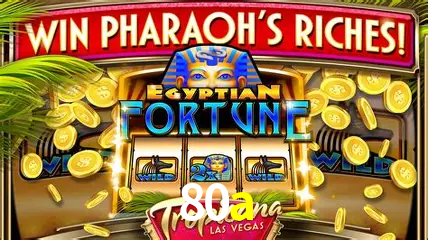 Ofertas Exclusivas 80a